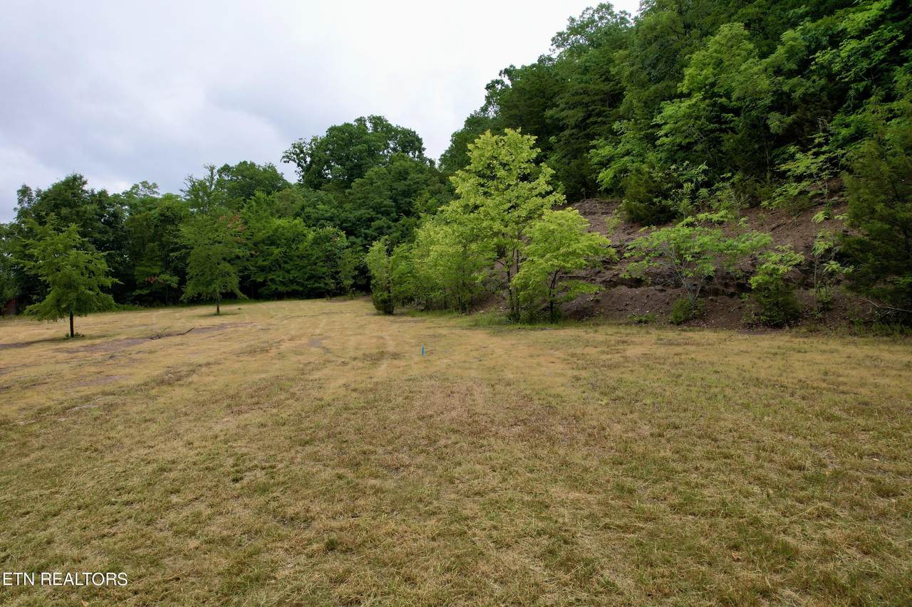 955 Lakeway Rd - Photo 1
