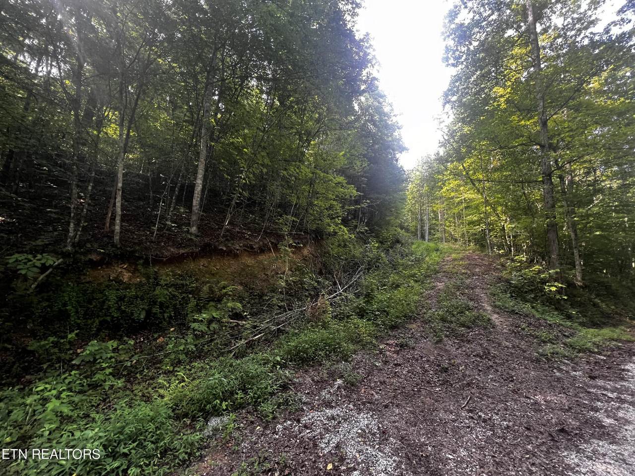 0 Vann Rd Rd - Photo 1