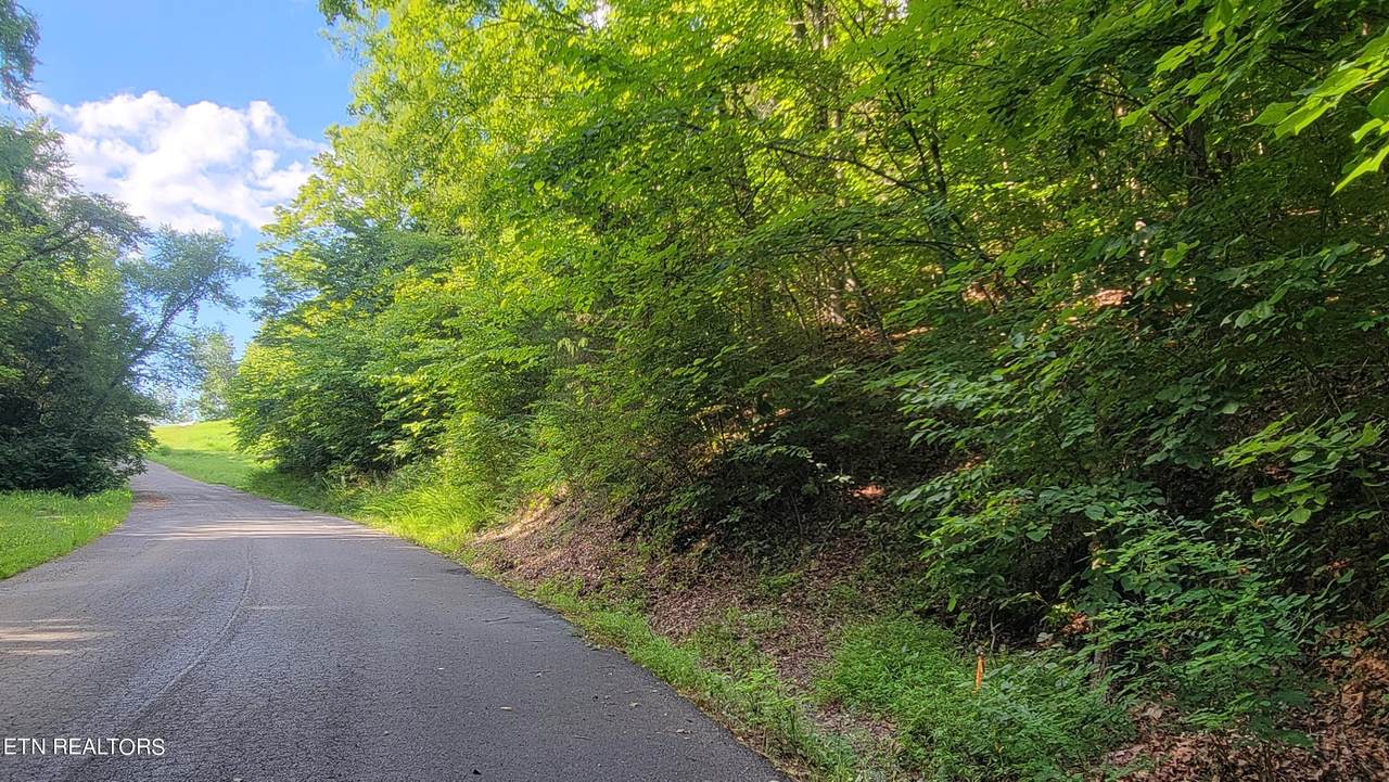 Lakeshore Dr (Lot 36) Way - Photo 1