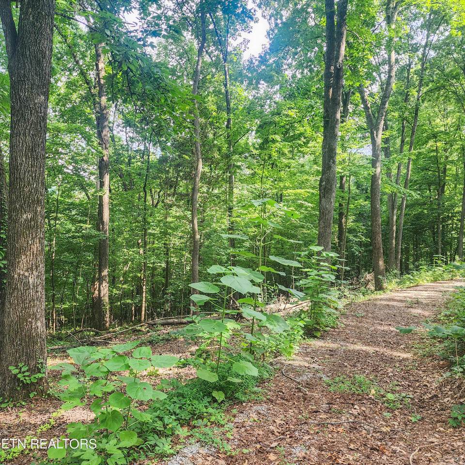 275 Dogwood Lane - Photo 1