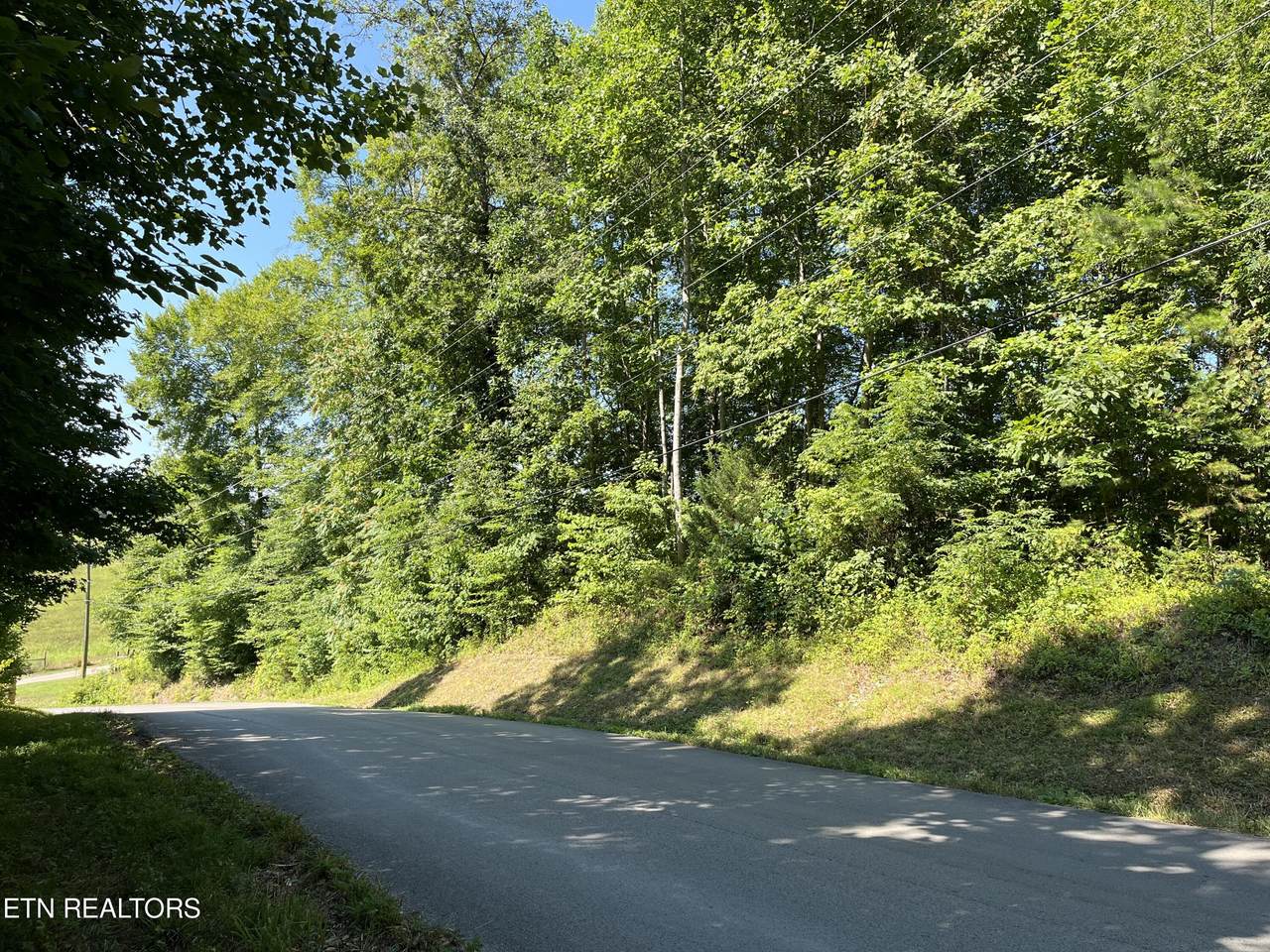 Hickory Pointe Lane - Photo 1