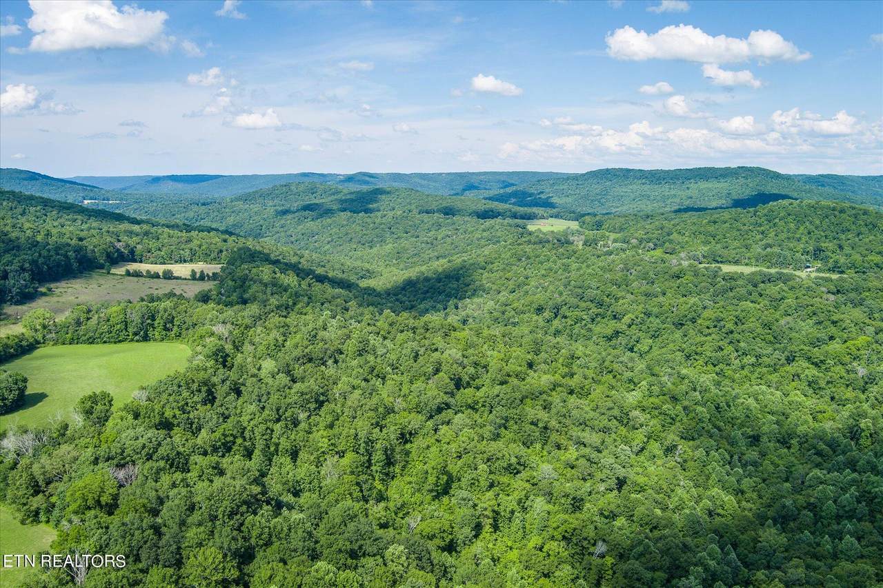  Pleasant Shade Lane - Photo 1