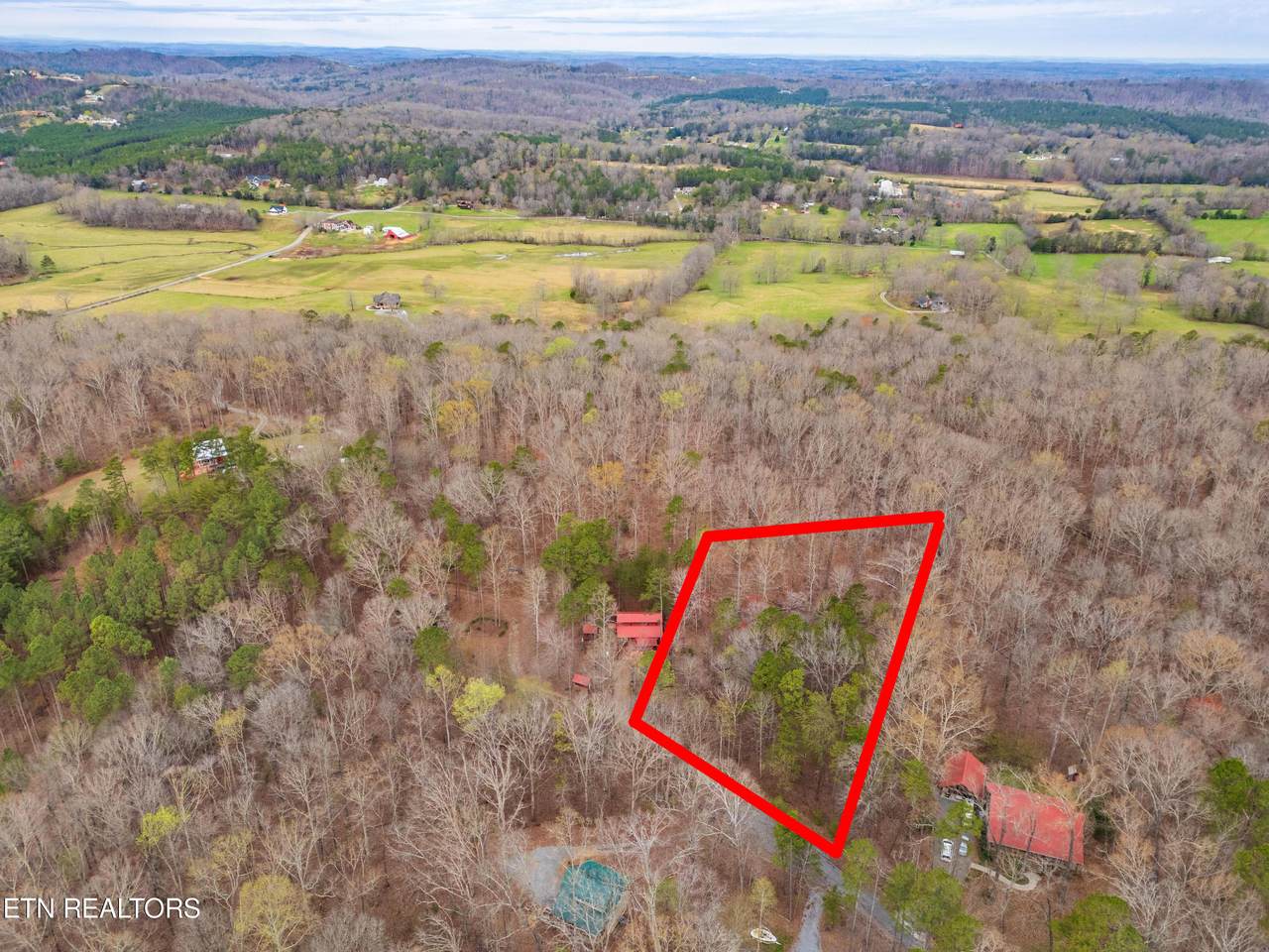 115 Lexie Lane - Photo 1