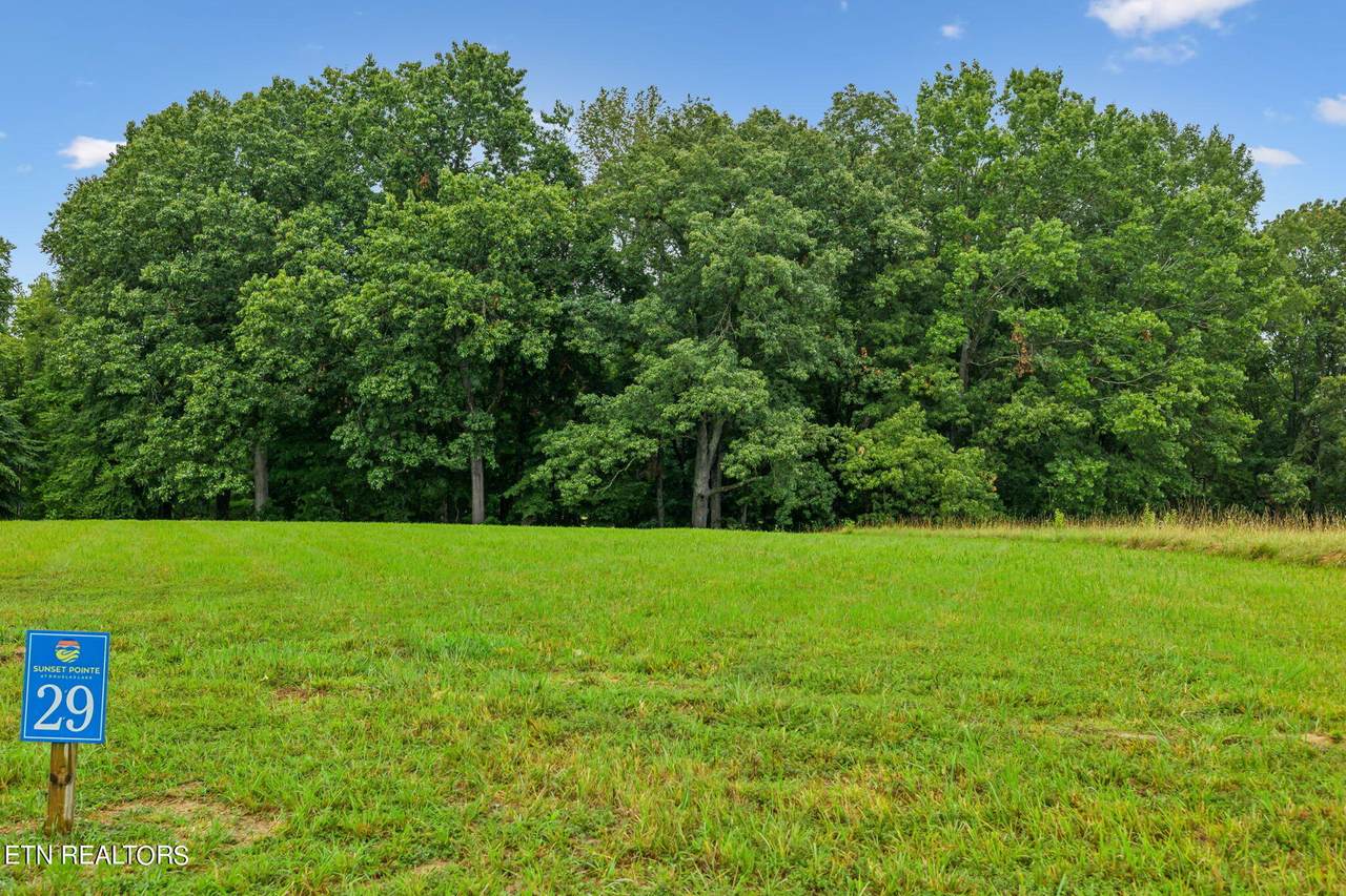 Lot 29 Nightfall Lane - Photo 1