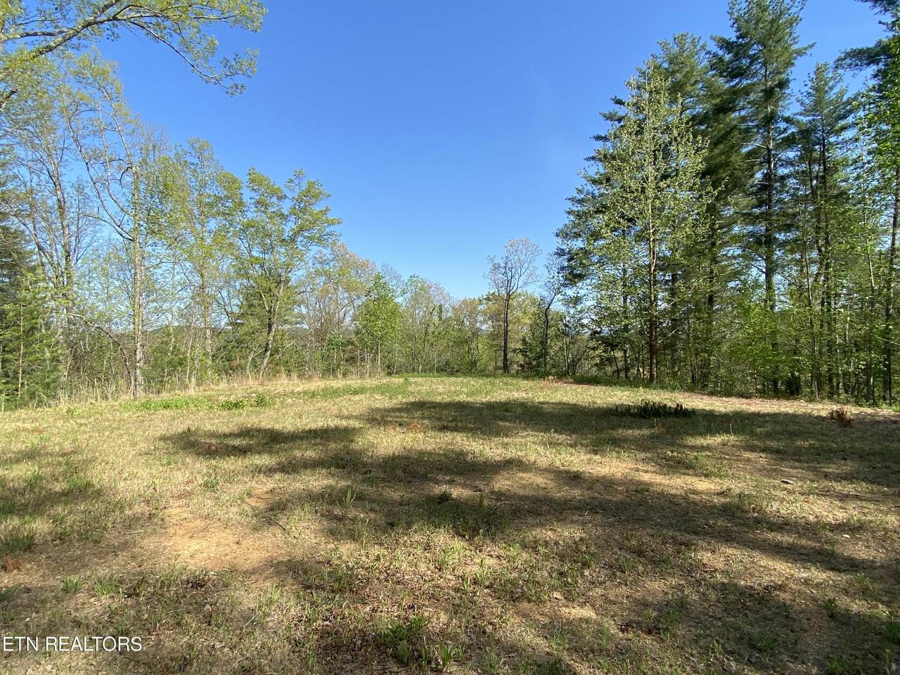 134 Upper Towee Lane Lane - Photo 1