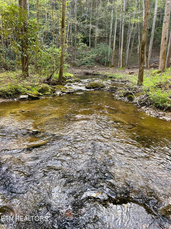 40 acres Ivy Trail - Photo 1