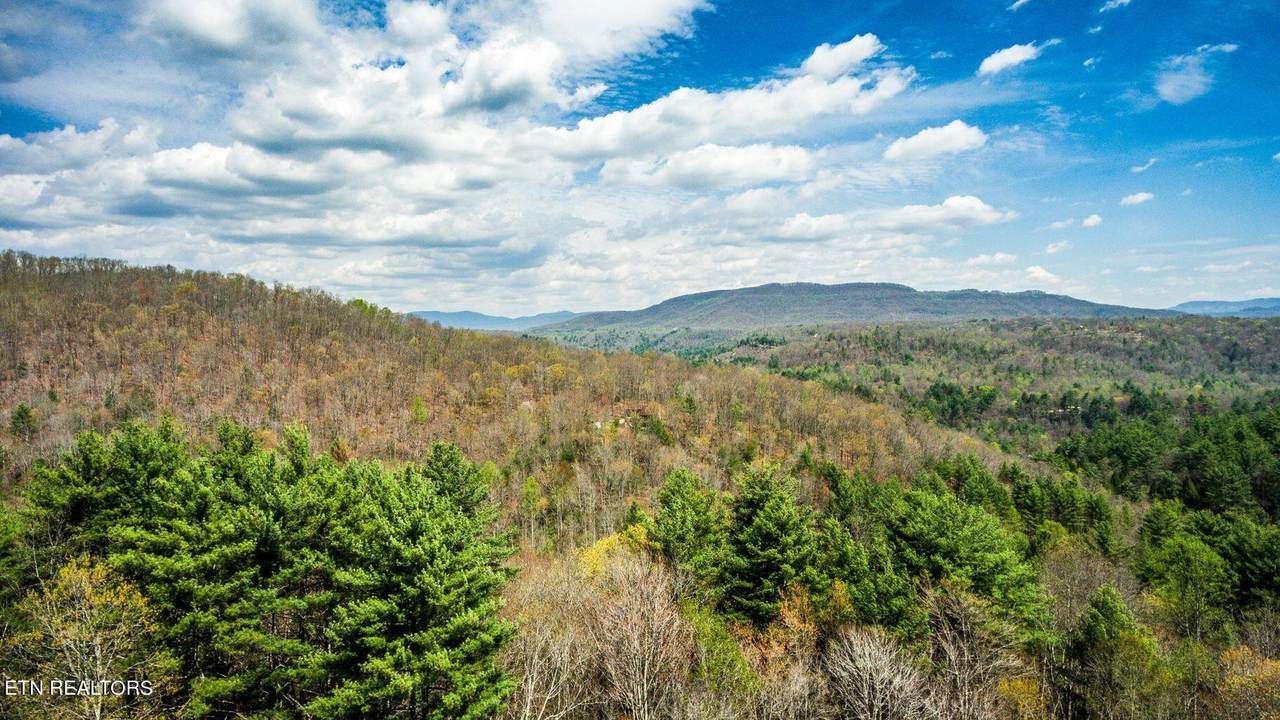 Green Ridge Trails - Lot #7 - Photo 1