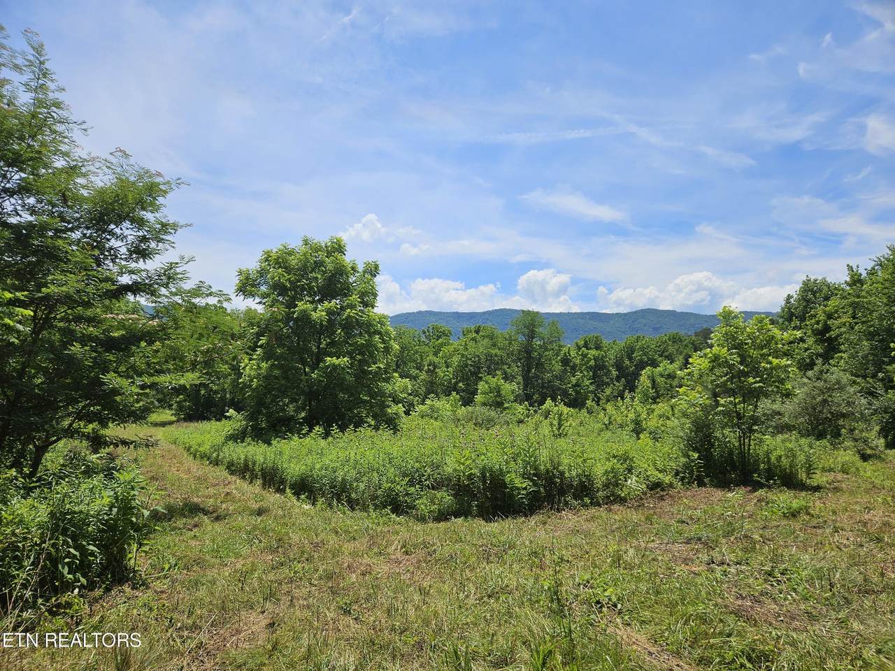 Six Mile Rd - Photo 1