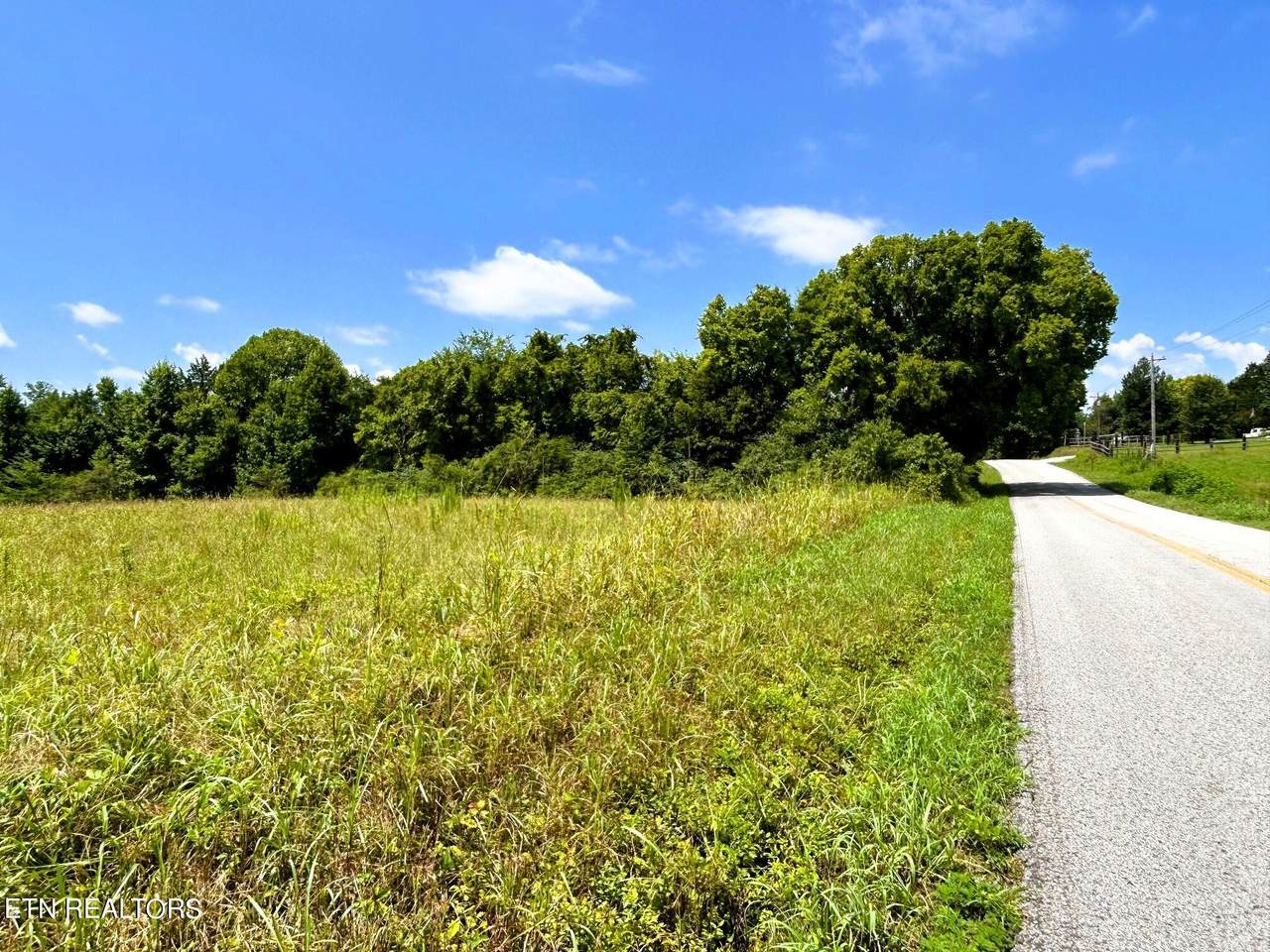 Tract 5 Euchee Road - Photo 1