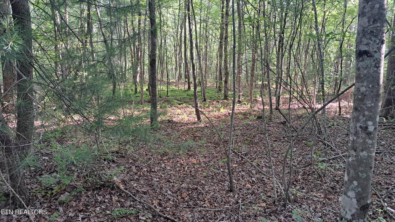 Airport Rd - Lot 7 (Pca) - Photo 1