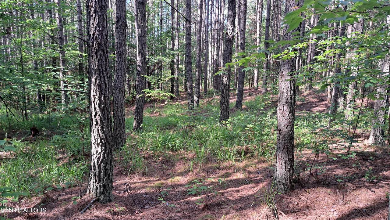  Airport Rd - Lot 8 (Pca) - Photo 1