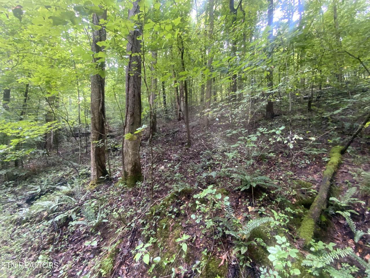 Lot 63 Hiwassee View Drive - Photo 1