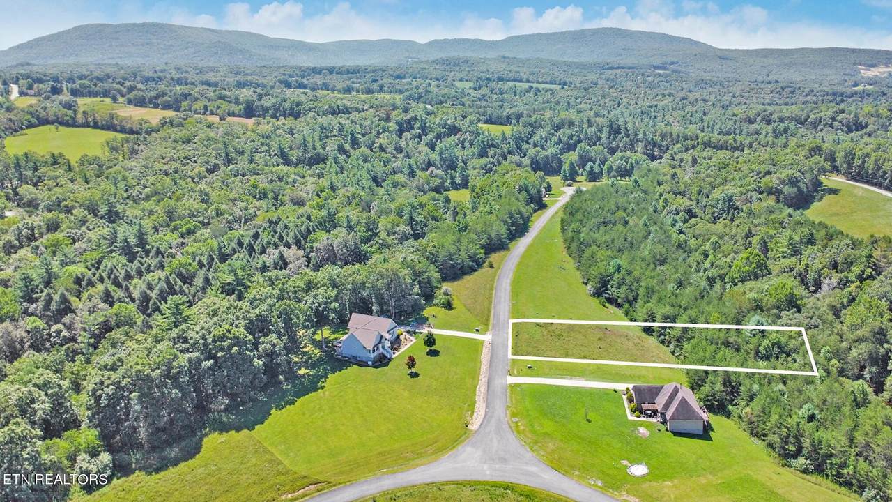 Lot 16 Daddys Creek Tr - Photo 1