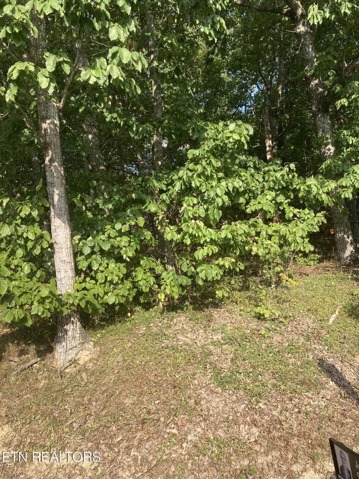 https://bt-photos.global.ssl.fastly.net/kaar/1280_boomver_1_1273892-2.jpg
