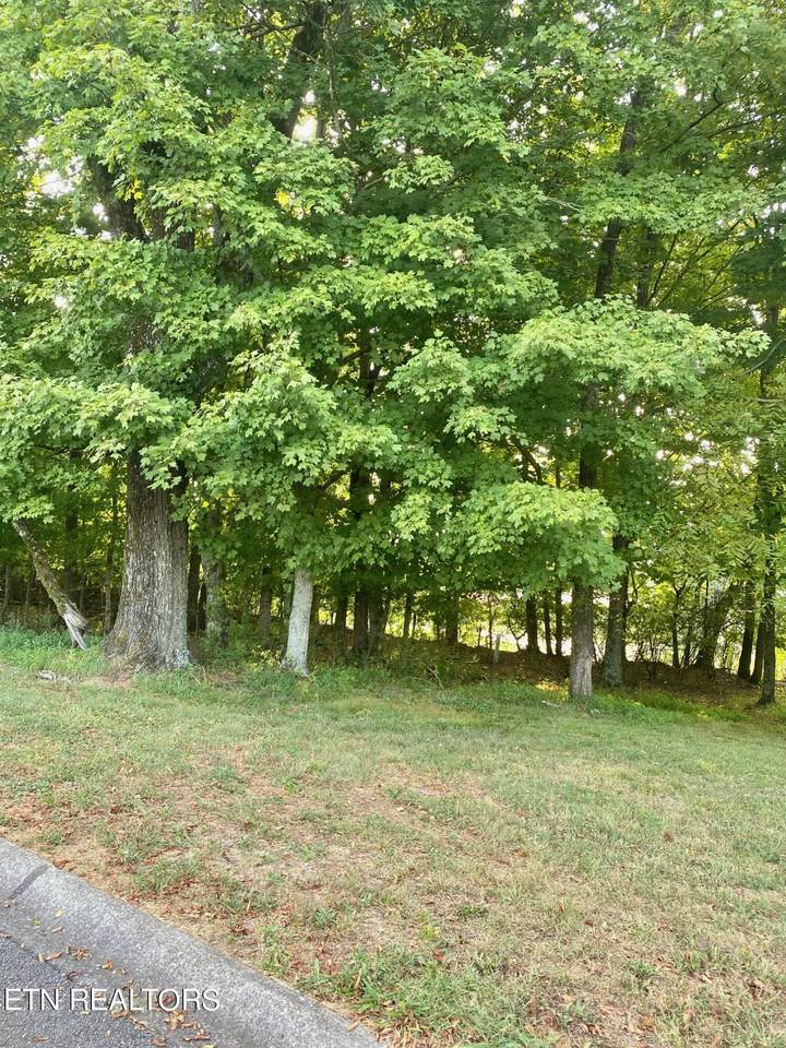 664 Fort Hill St - Photo 1