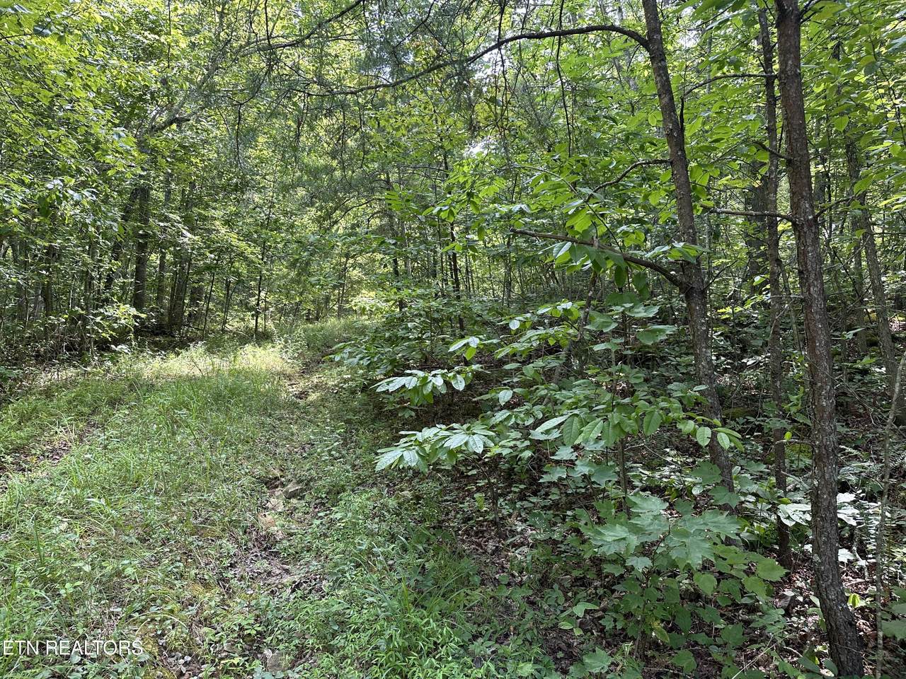 https://bt-photos.global.ssl.fastly.net/kaar/1280_boomver_1_1274076-2.jpg