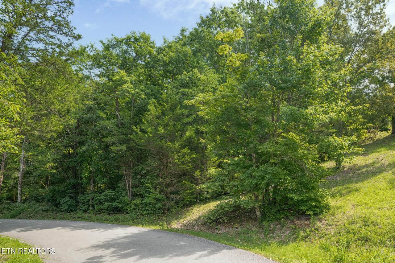 Brown Mountain Loop Rd - Photo 1
