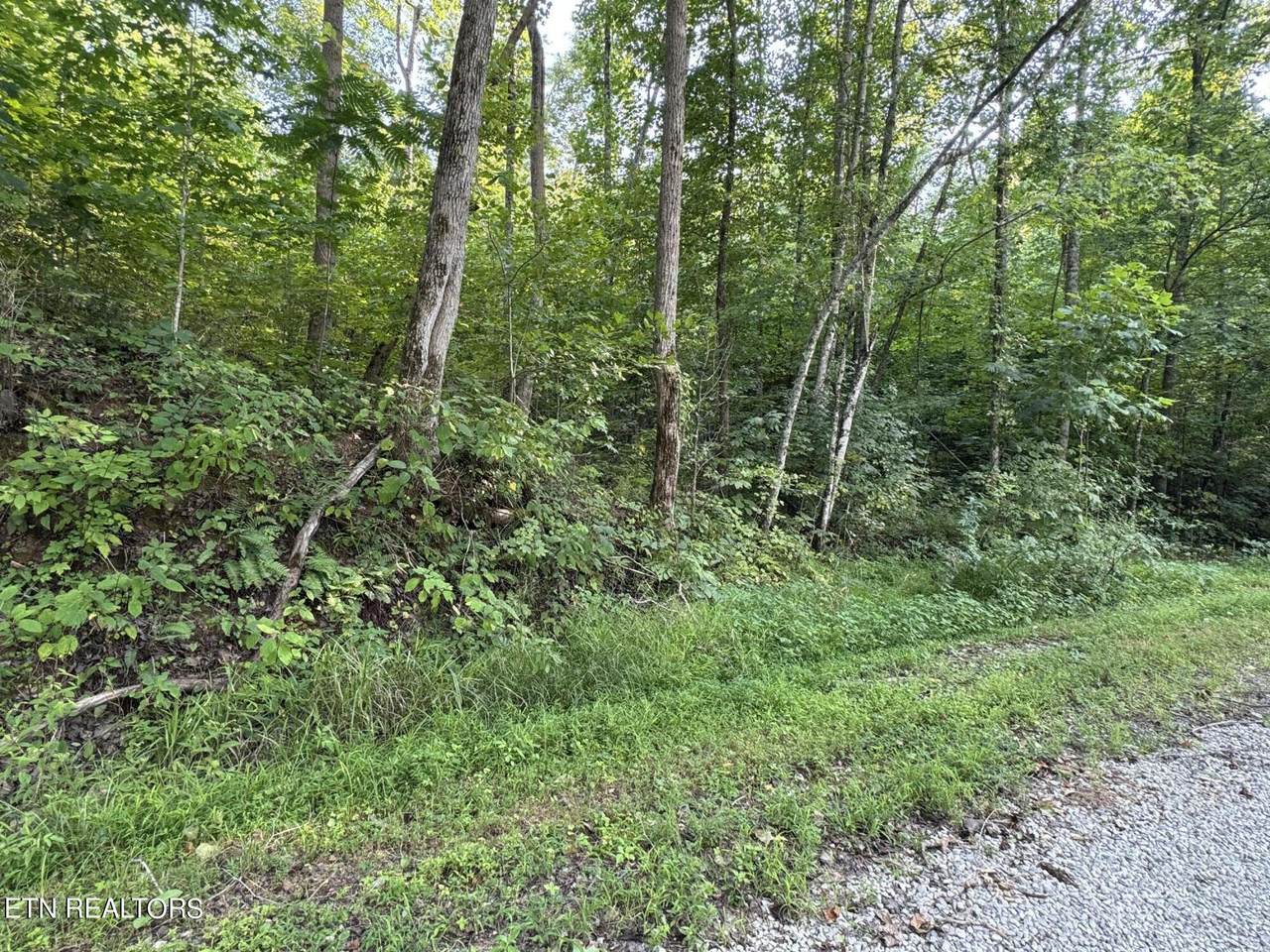 Roe(Tract 5) Lane - Photo 1