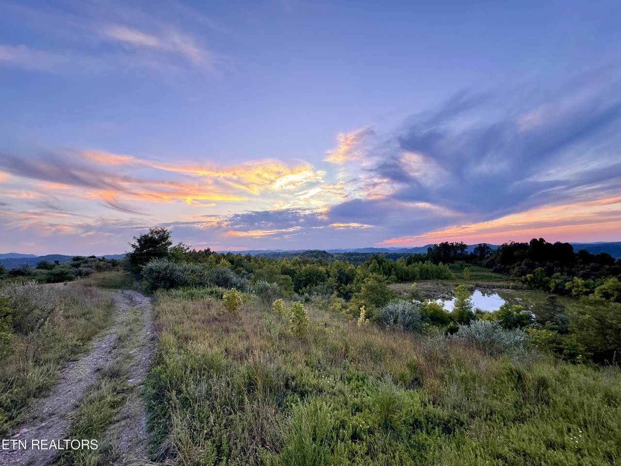207 Lick Fork Lane - Photo 1