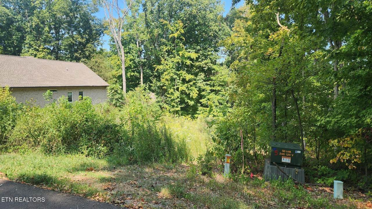 118 Gadusi Circle - Photo 1