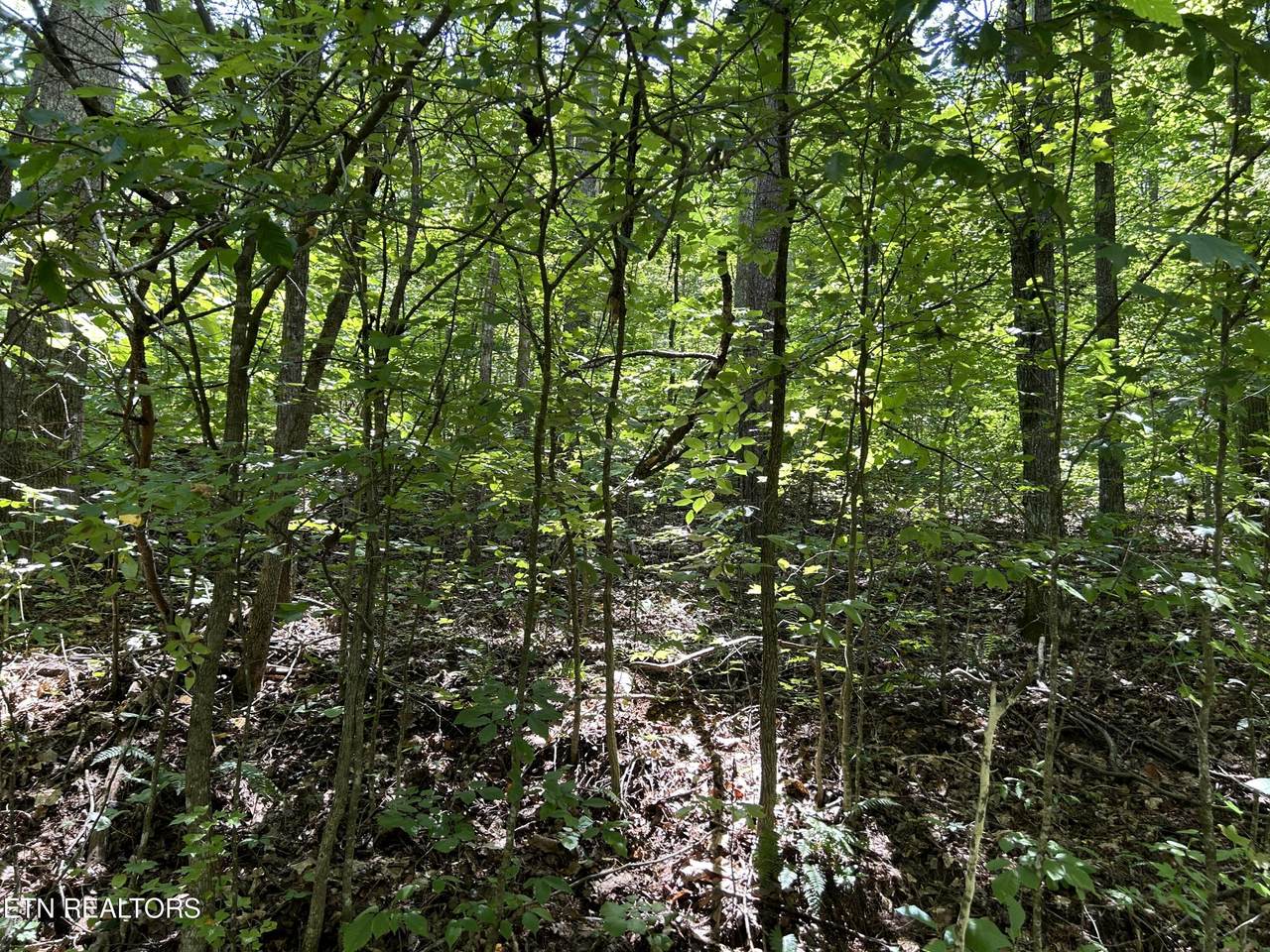 Pearl Lot 5 Lane - Photo 1