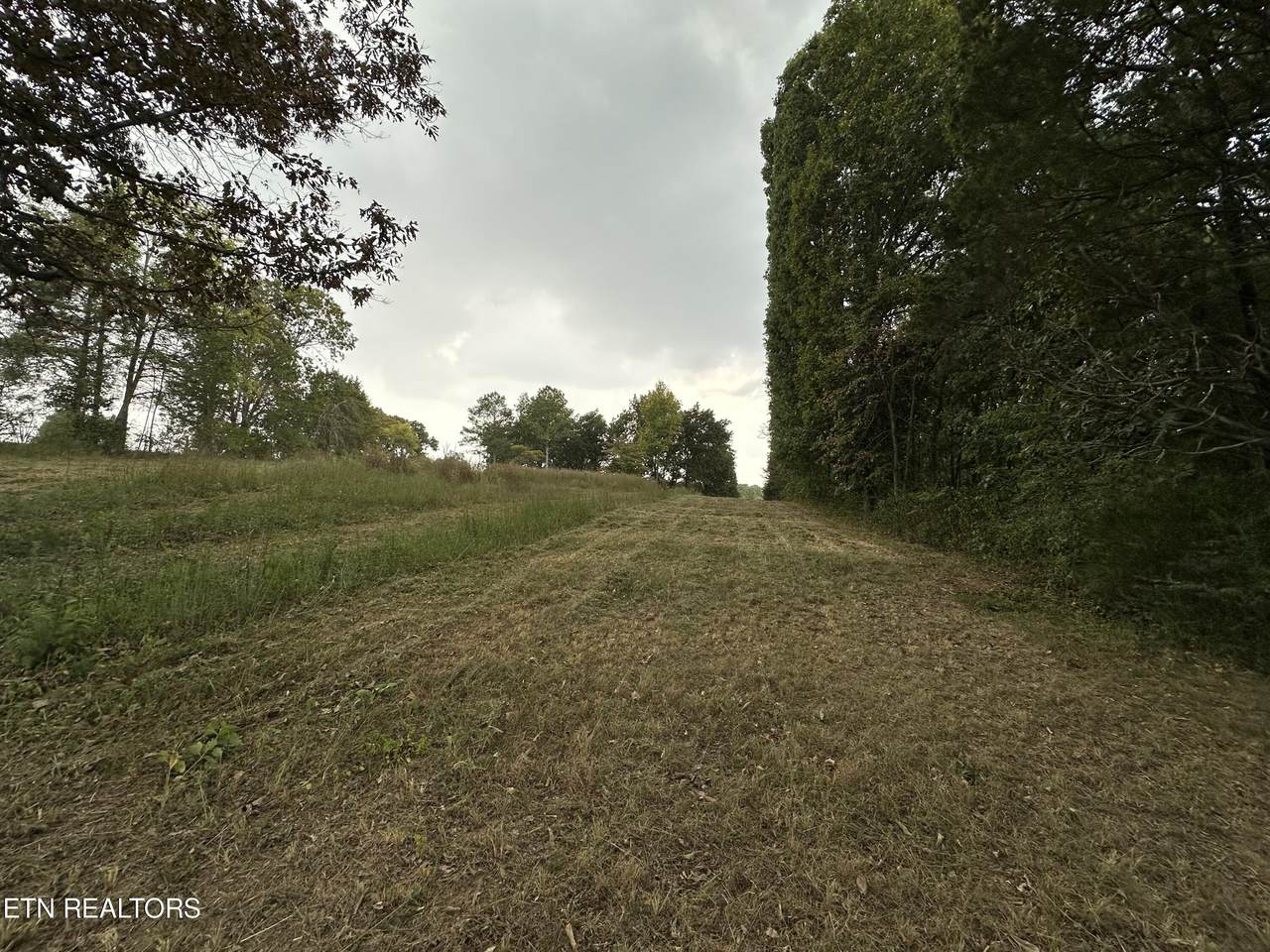 000 County Road 331 - Photo 1