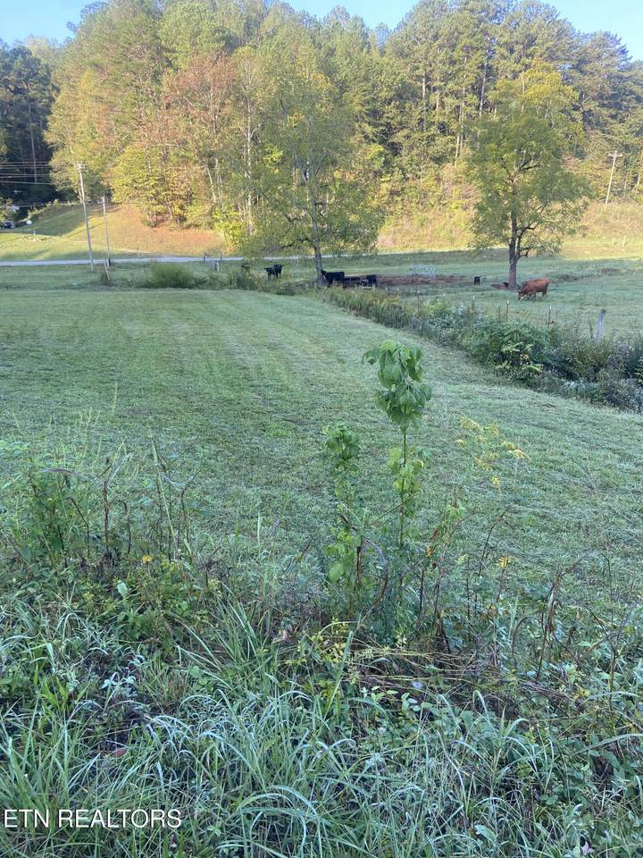 00 Fairview Rd - Photo 1