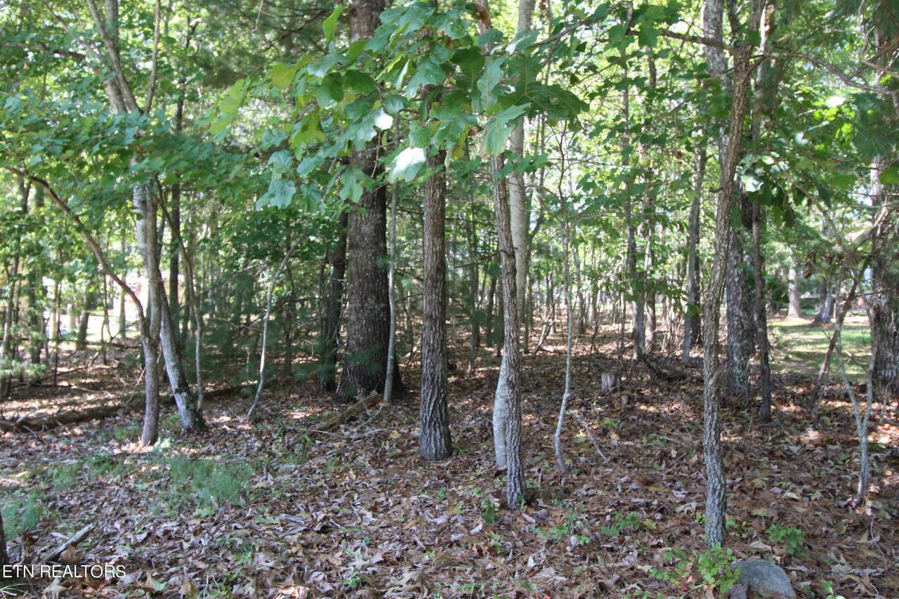 105 Wilbourn Drive - Photo 1