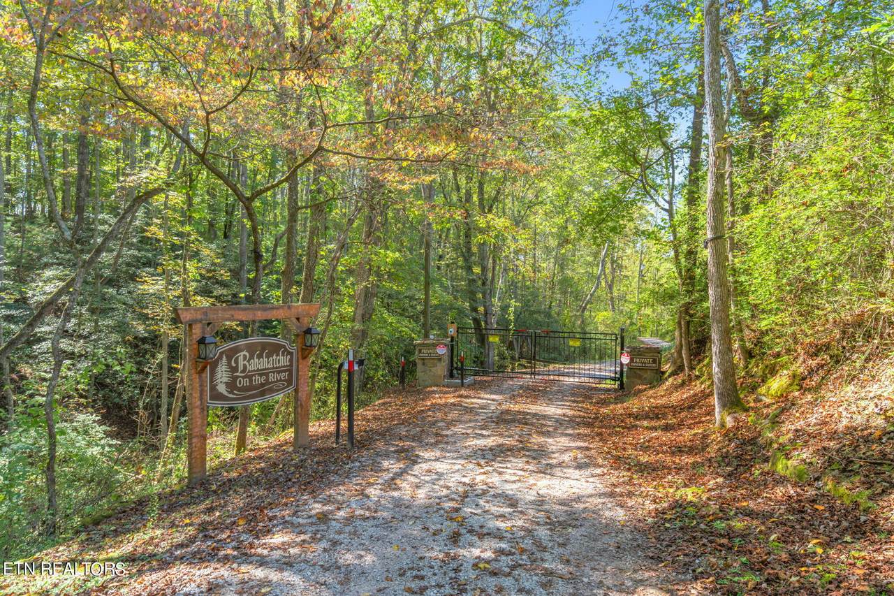 Tunnel Hill Rd - Photo 1