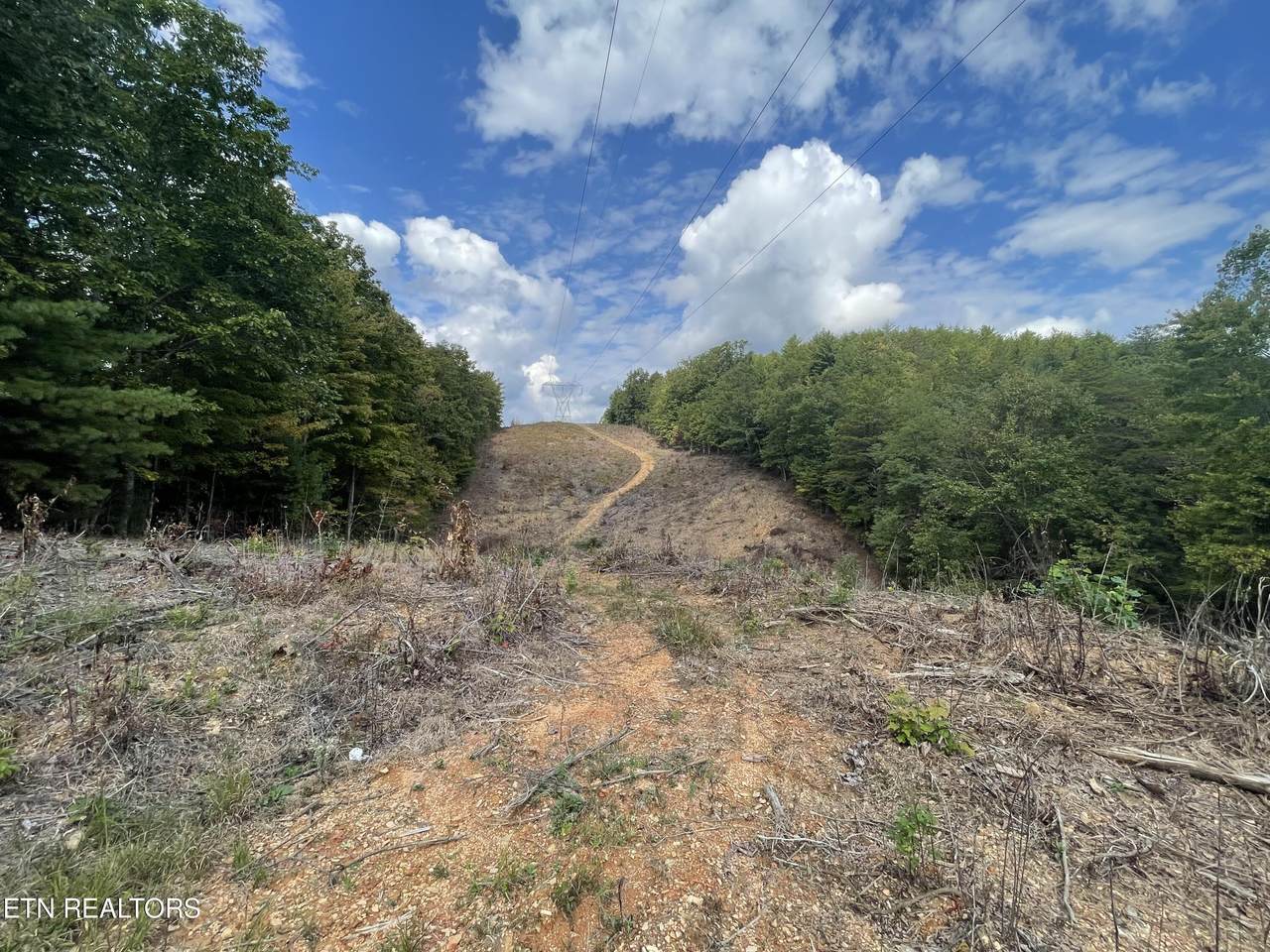 1ac Hwy 68 - Photo 1
