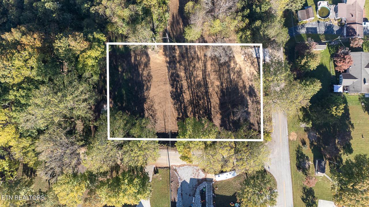  Dogwood Lane - Photo 1