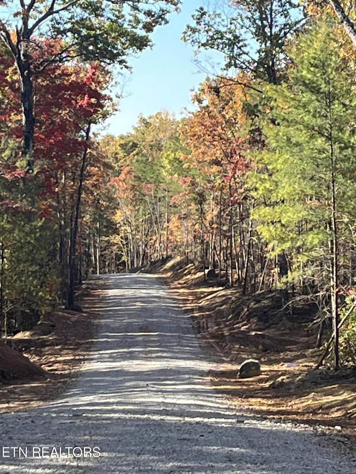 101 Cherokee Path - Photo 1