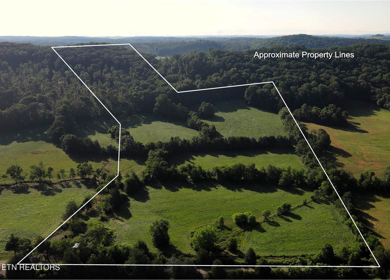 Paint Rock Valley Rd - Photo 1