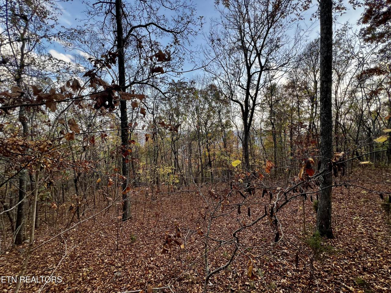 Lot 675 Chimney Rock Road - Photo 1