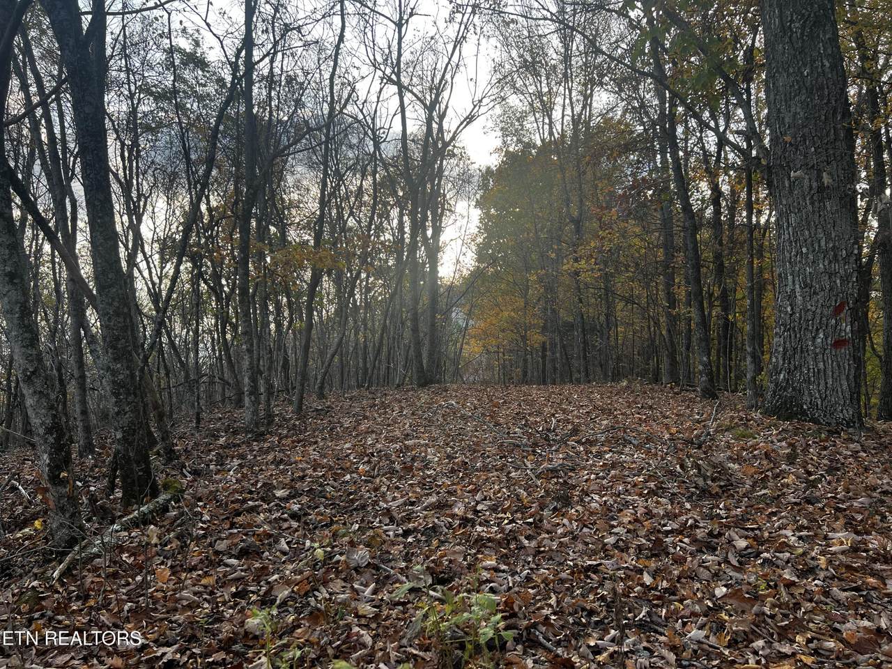 https://bt-photos.global.ssl.fastly.net/kaar/1280_boomver_1_1282172-2.jpg