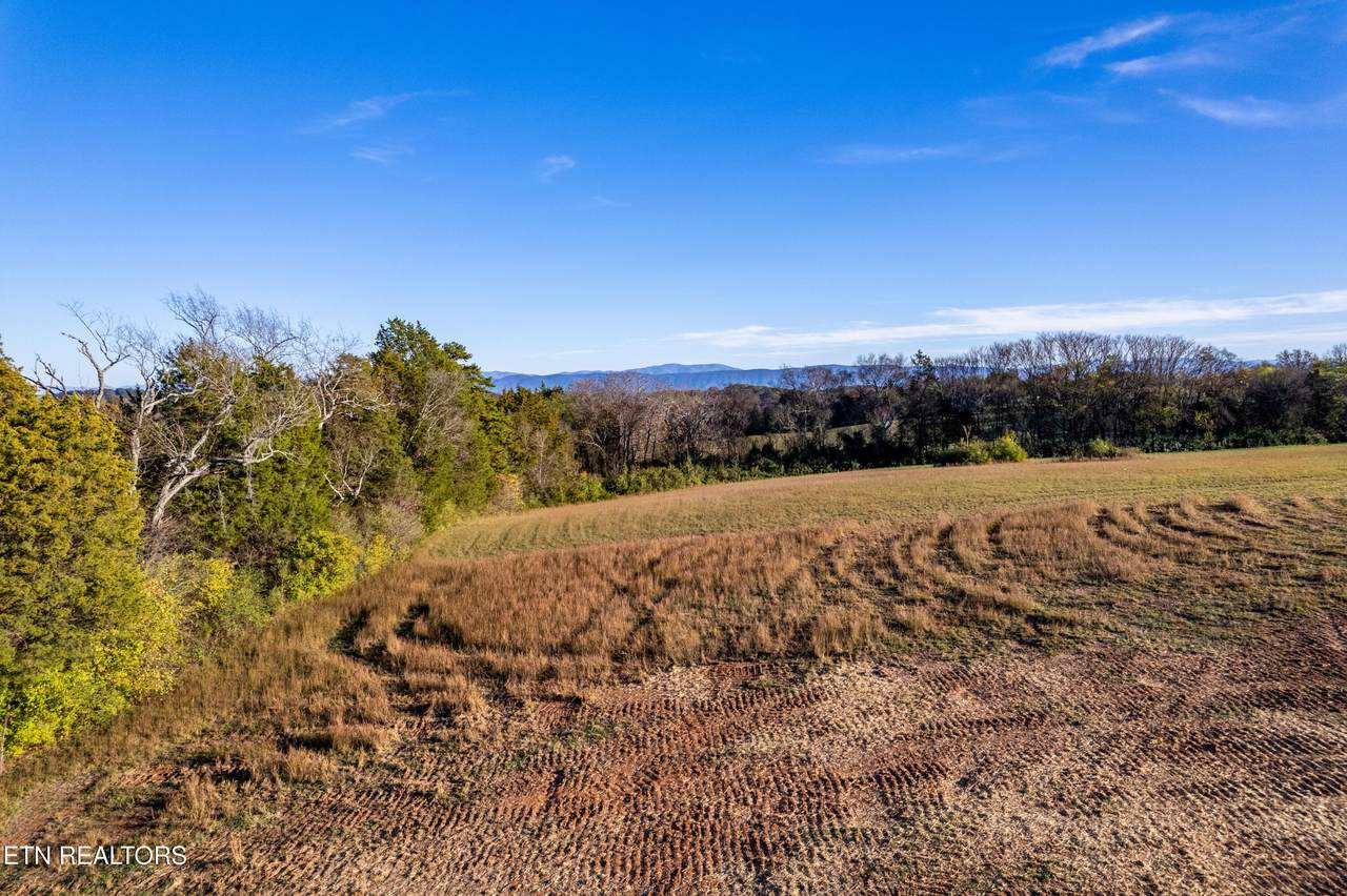351 Meadow Rd - Photo 1