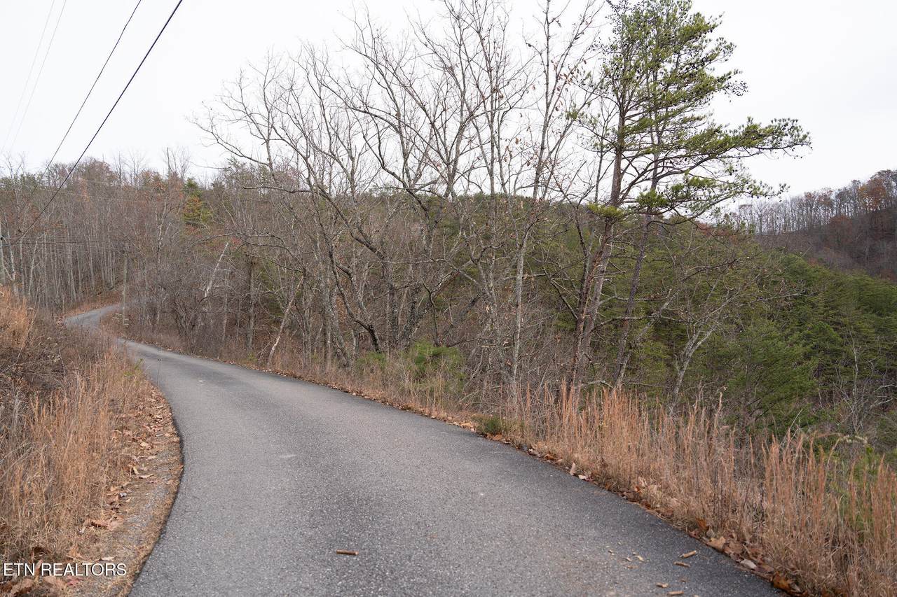 Parcel 85 Trace Way - Photo 1