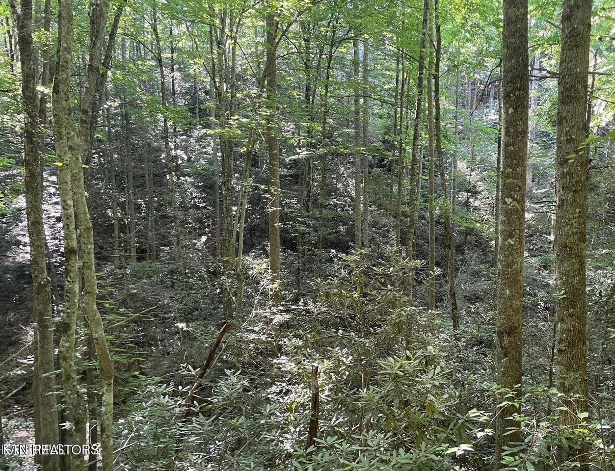 Lot 70 Hazelnut Lane - Photo 1