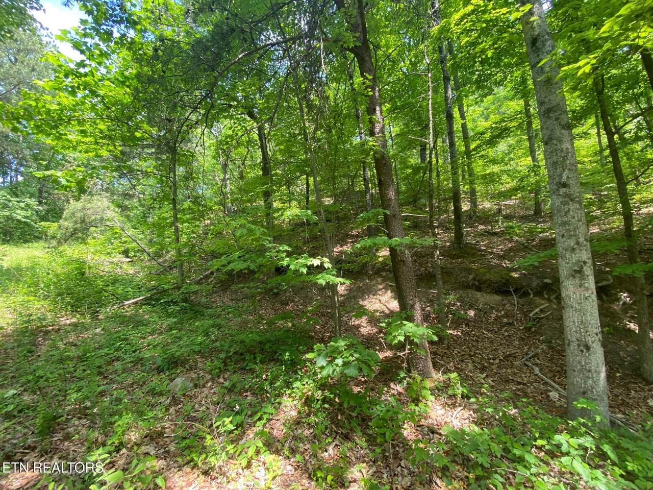https://bt-photos.global.ssl.fastly.net/kaar/1280_boomver_1_1287246-2.jpg