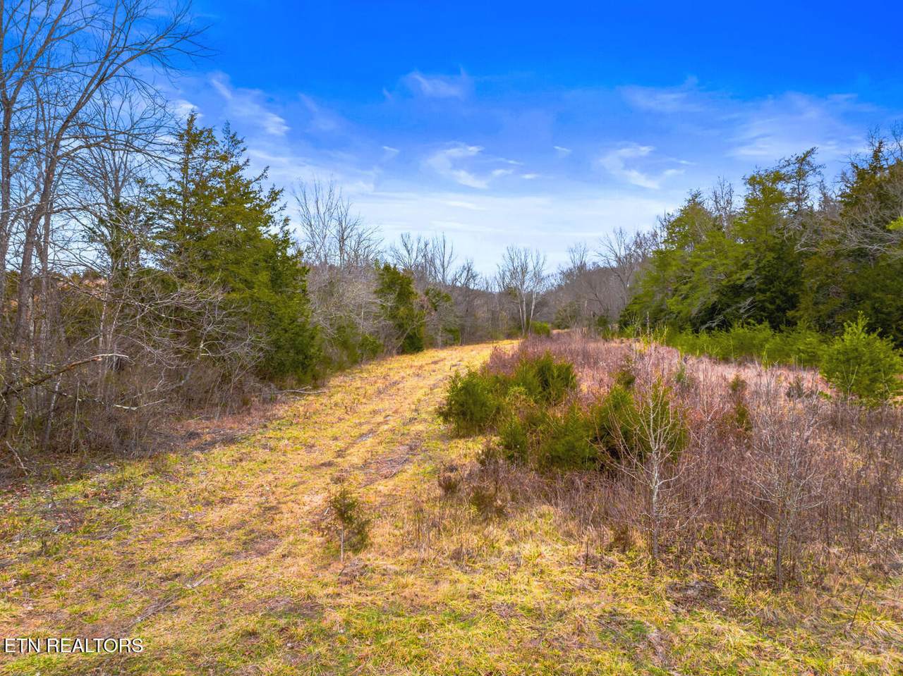 Lot 8 Lonesome Pine Rd - Photo 1