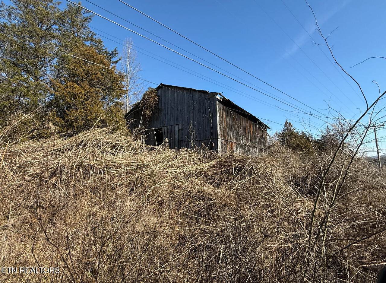 TBD Wilderness Rd - Photo 1