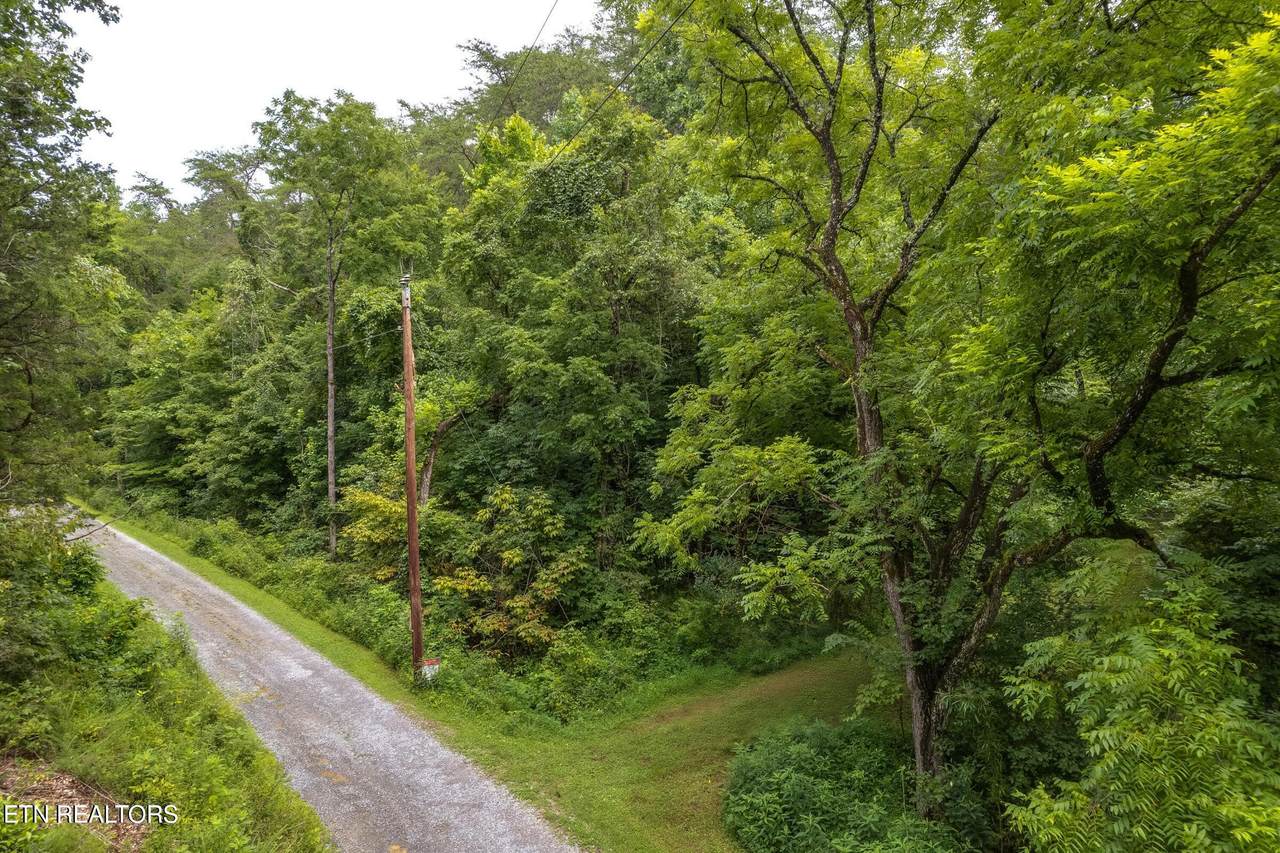 Moon Hollow Rd - Photo 1