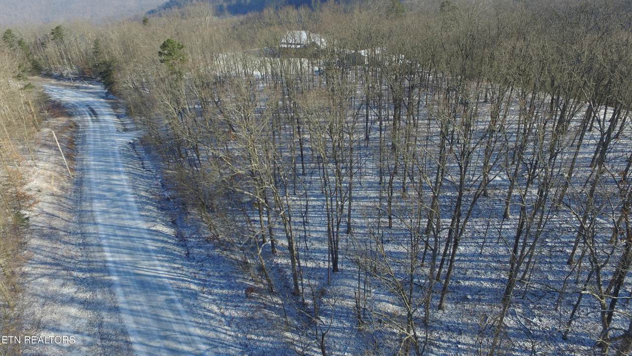 Bear Knob Rd - Photo 1
