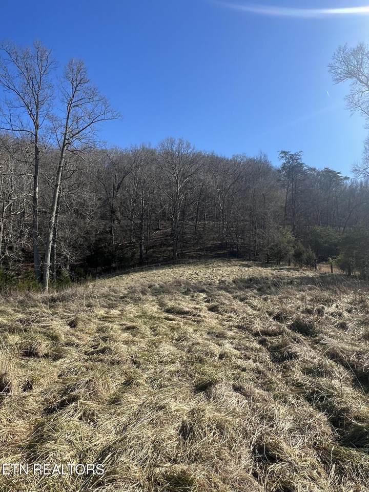 0 Brushy Valley Drive - Photo 1