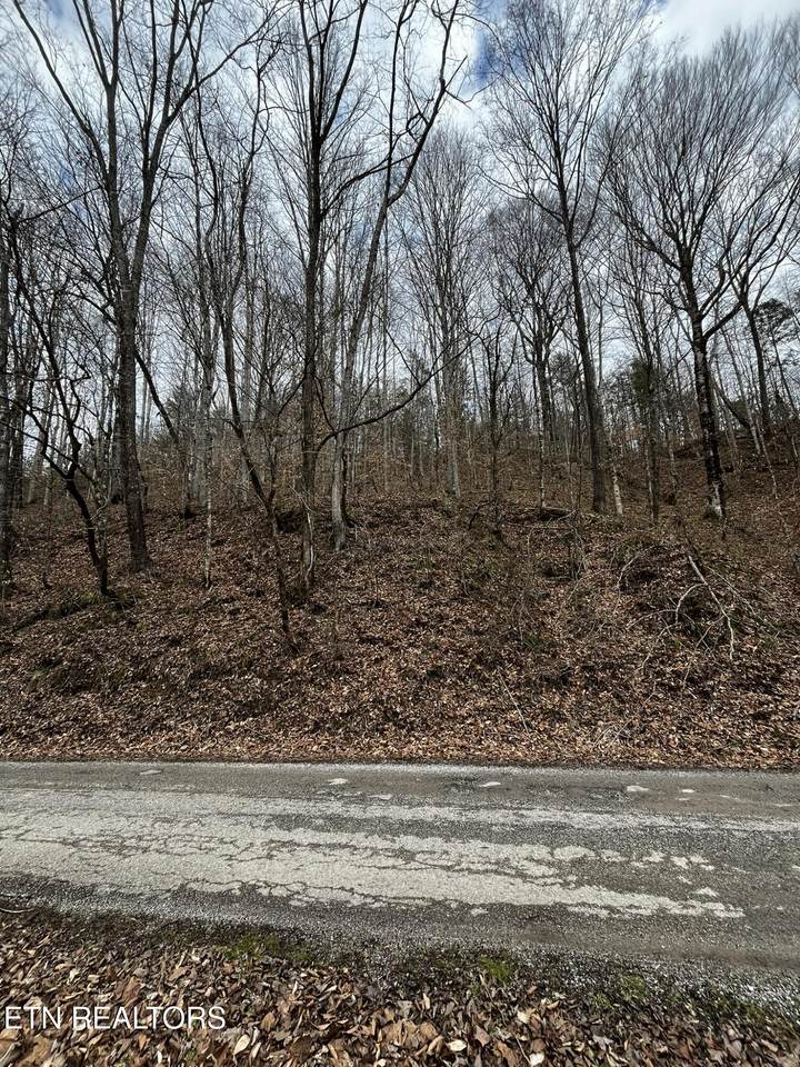 0 Paint Rock Creek - Photo 1