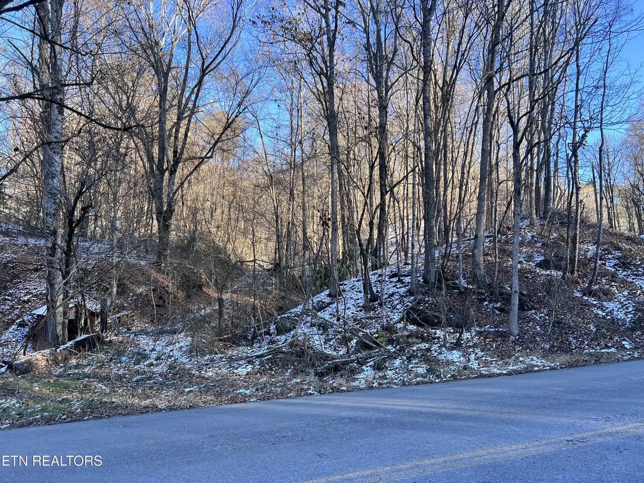  Maples Branch Rd - Photo 1