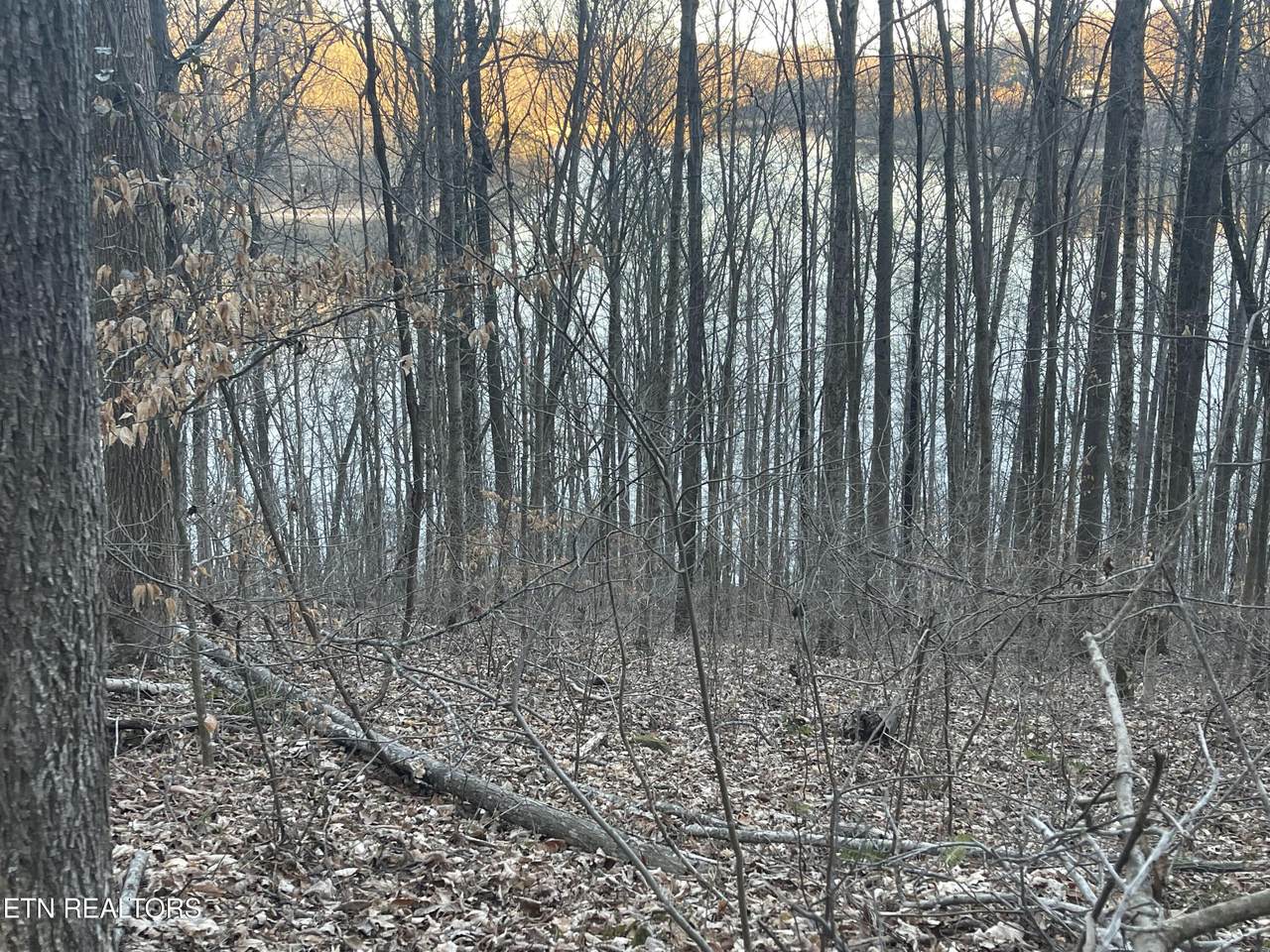 0 Back Bone Rd - Photo 1