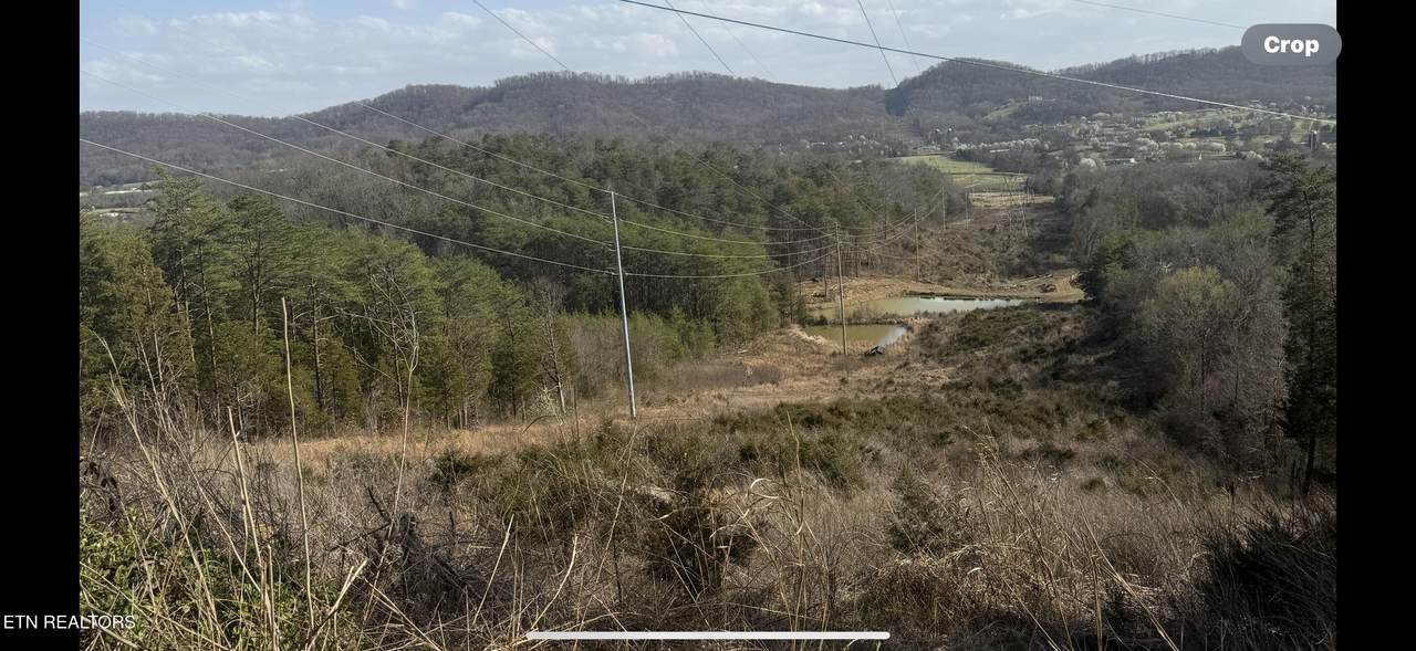 1372 Friends Station Rd - Photo 1