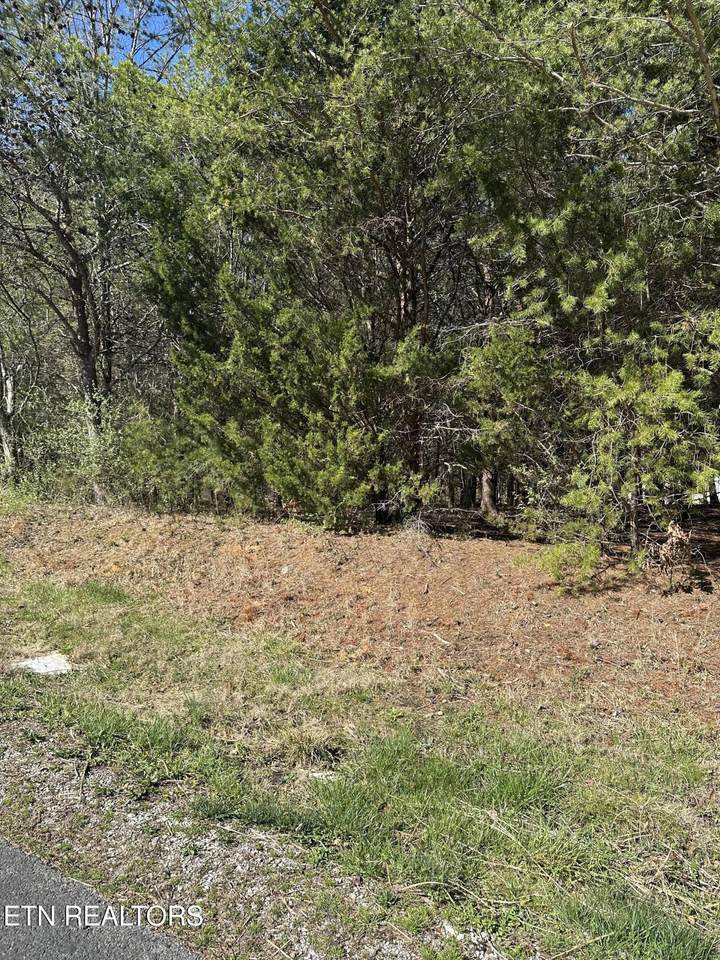  Ganega Trail - Photo 1