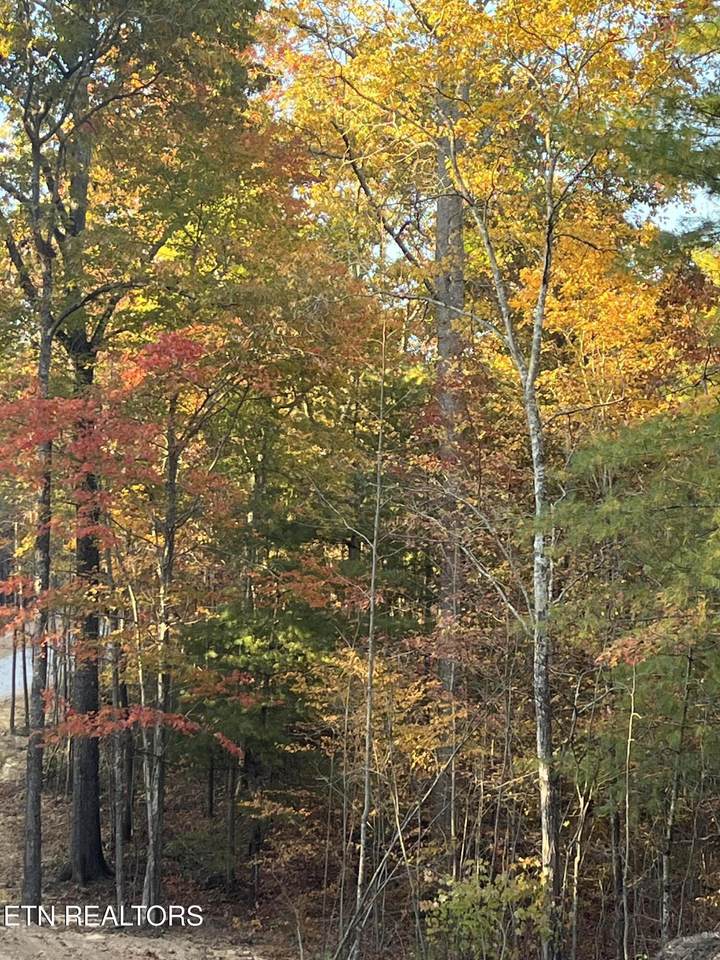 110 Cherokee Path - Photo 1